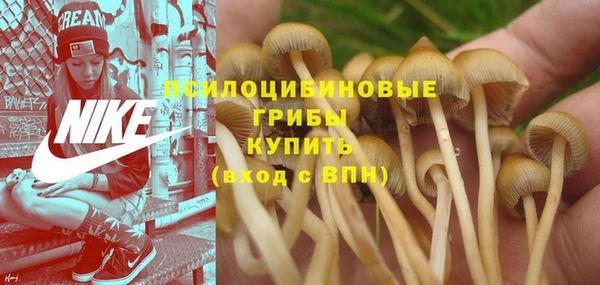 трава Алзамай