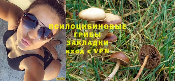 герыч Алексин