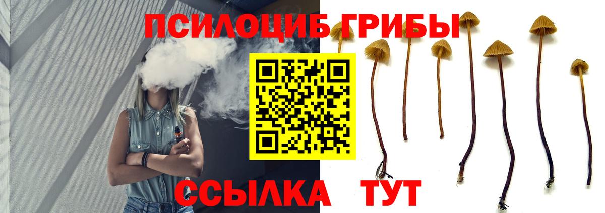 Феодосия  Псилоцибиновые грибы Psilocybe  Вход с VPN 