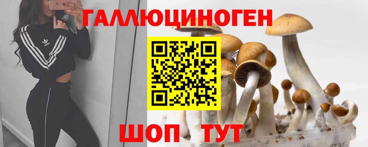 Галлюциногенные грибы MAGIC MUSHROOMS Феодосия